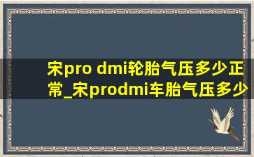 宋pro dmi轮胎气压多少正常_宋prodmi车胎气压多少合适